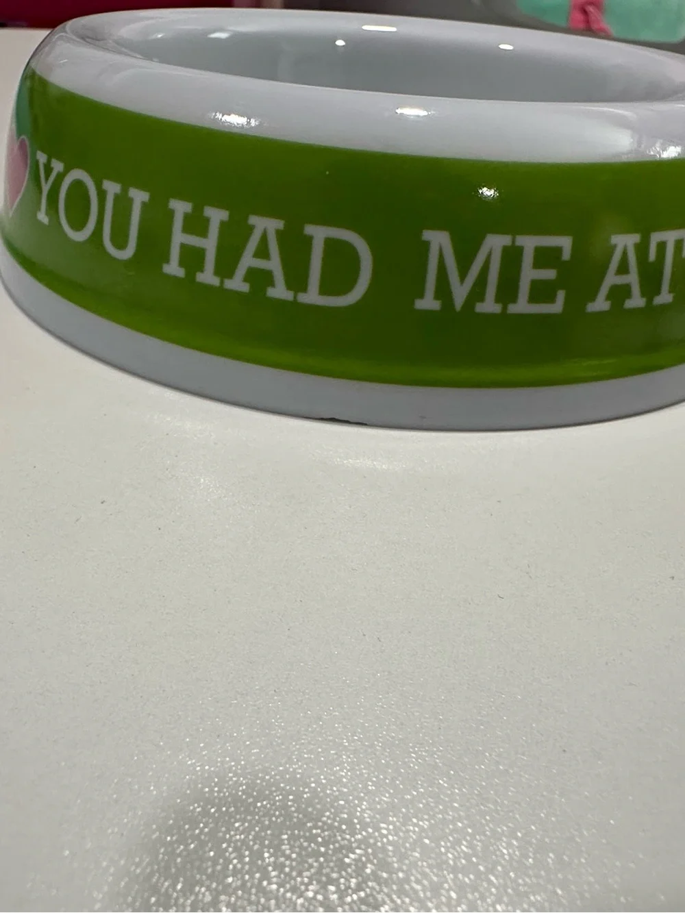 Green Pet Food & Water Bowls